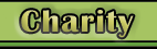 About the Charity