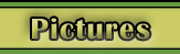 Pictures
